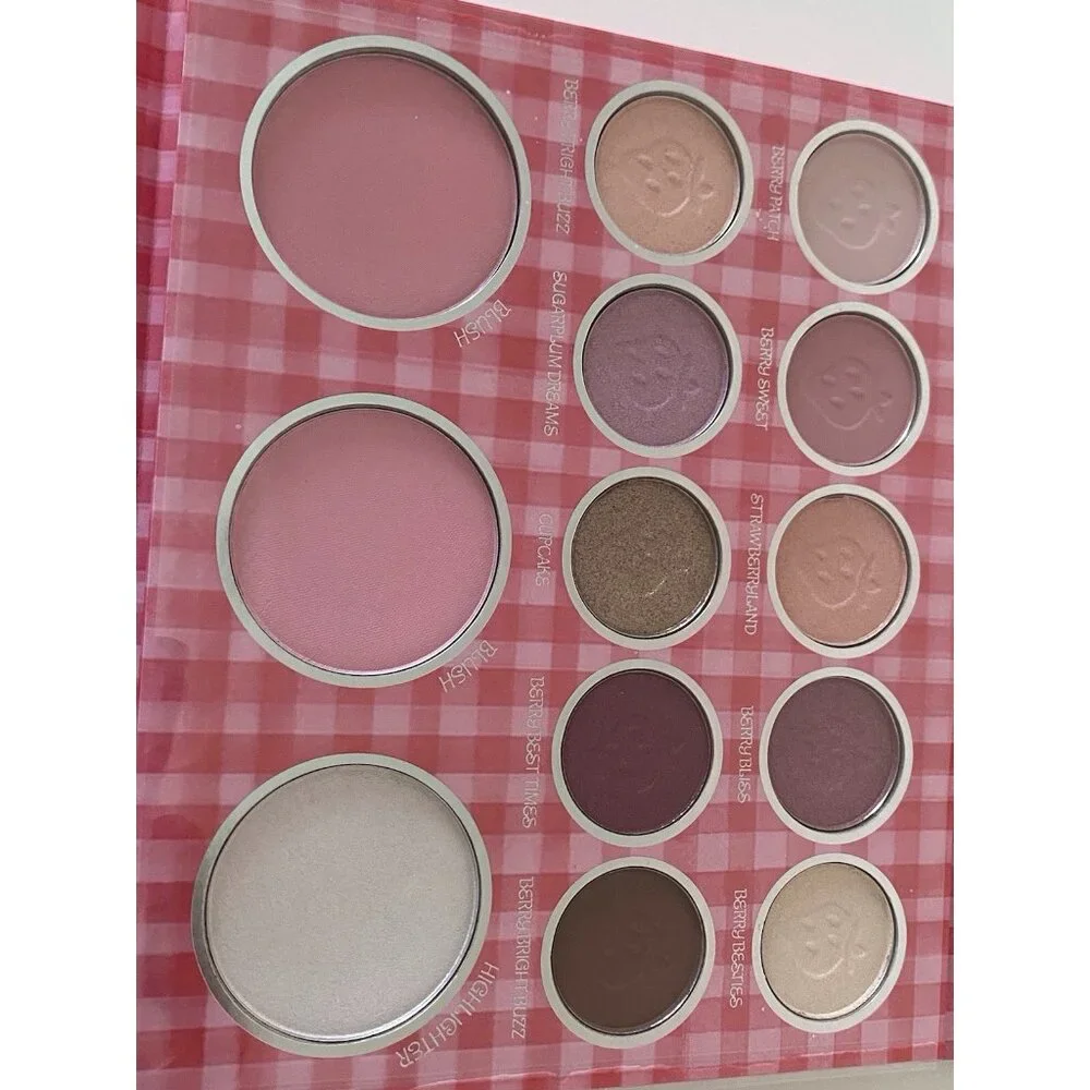 Strawberry Shortcake‎ Complexion Palette 10 Eyeshadow Highlighter & 2 Blush NEW